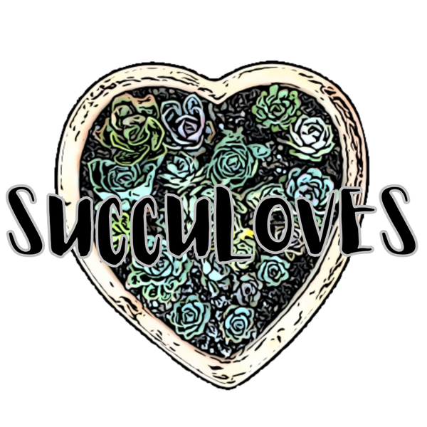 SUCCULOVES